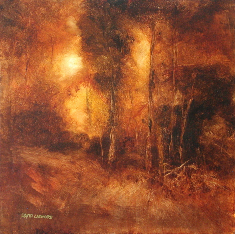 Forest Light 47 – David Hunwick