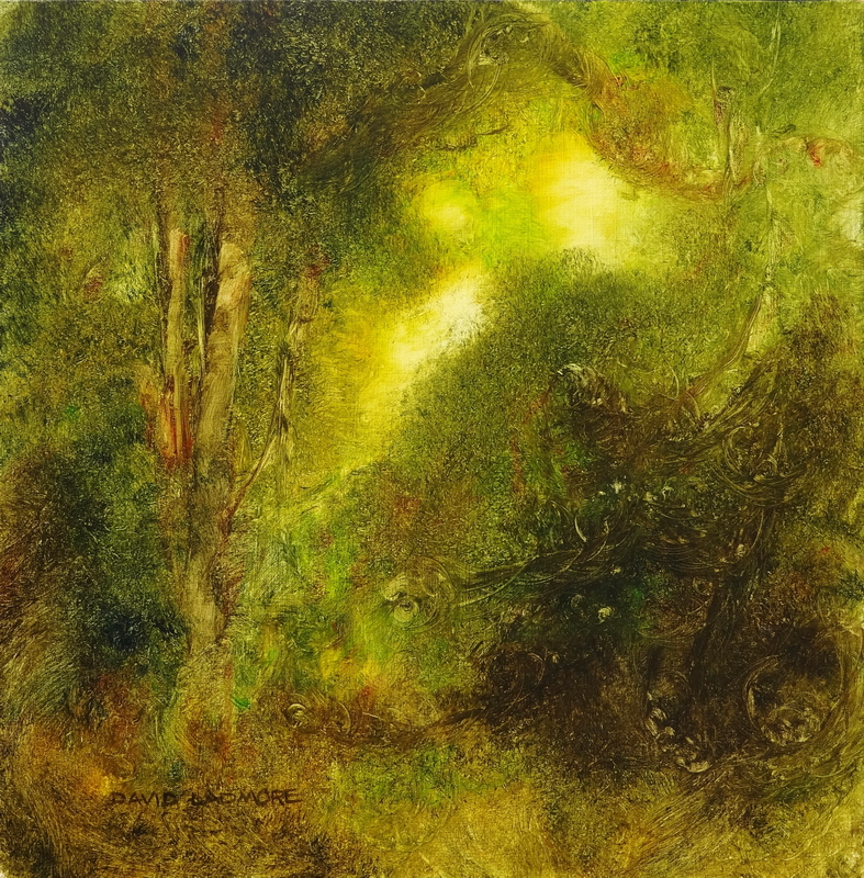 Forest Light 50 – David Hunwick