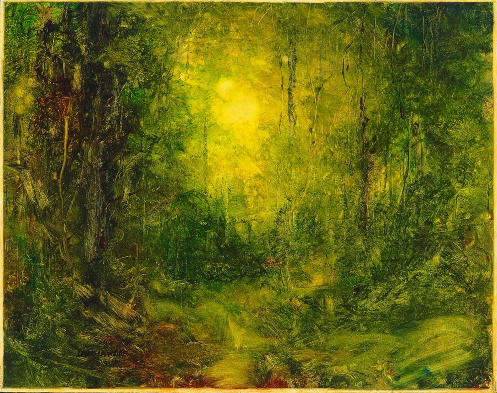 Forest Light 55 – David Hunwick